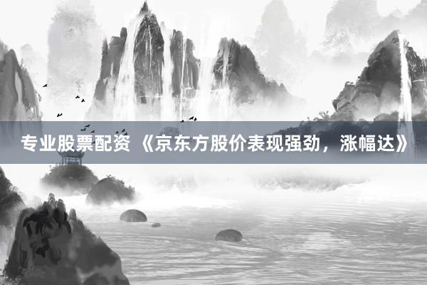 专业股票配资 《京东方股价表现强劲，涨幅达》